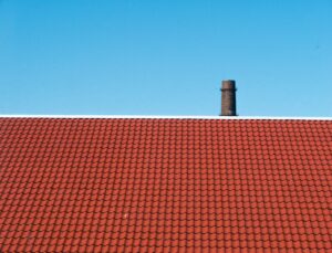 verstappen-photography-oWxYqUeTYhY-unsplash